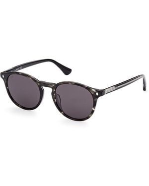 Web We0328 05A Sunglasses Acetate Round Normal - Black