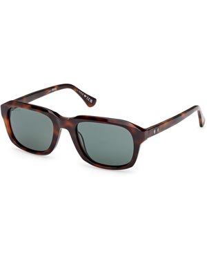 Web We0389 52N Sunglasses Acetate Squared Normal - Black