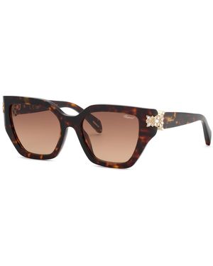 Chopard Sch418S 909 Sunglasses Acetate Butterfly Anti-Glare Nuanced - Black