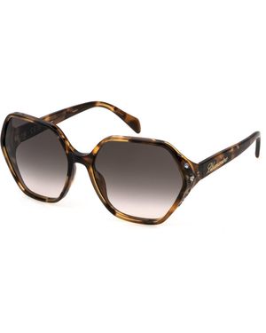 Blumarine Sbm861S 08Xw Sunglasses Acetate Geometric Normal Shaded - Black