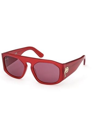 PUCCI Ep0242 66S Sunglasses Acetate Bordeaux Squared Normal