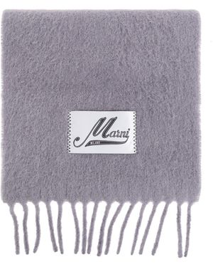 Marni Scarf With Fringes - Grey