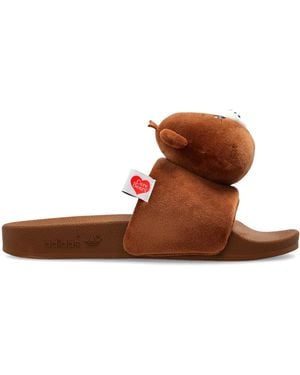 adidas Originals Adidas X Care Bears - Brown