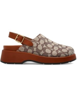 COACH "sclpt" Shoes On Platform, - Brown