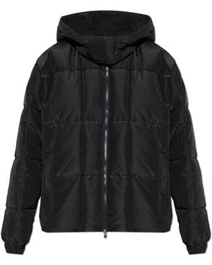 EA7 Insulated Quilted Jacket - Black