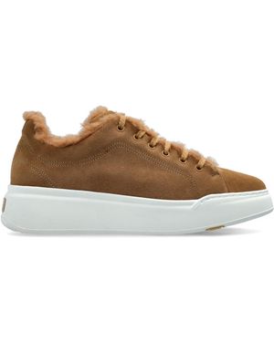 Max Mara Tmaxi Sports Shoes - Brown