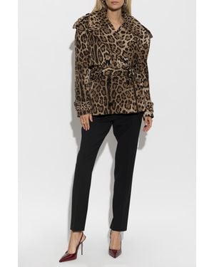 Dolce & Gabbana Double-Breasted Trench Coat With Animal Print - Brown