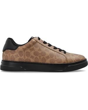 COACH "High Line" Sports Shoes - Brown