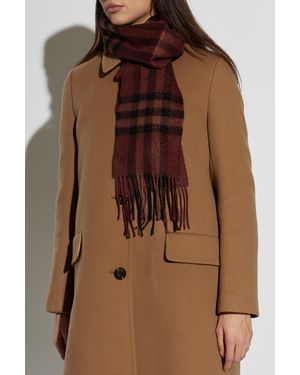 Burberry Fringed Cashmere Scarf - Brown