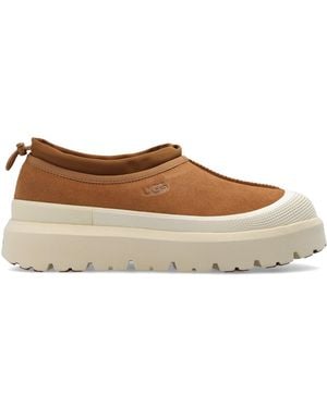 UGG Trainers - Brown