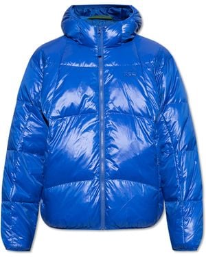 Lacoste jacket with hood best sale