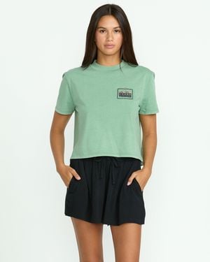 Volcom Stoneshine Shorts - Green