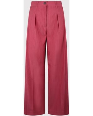 Nine:inthe:morning Chino - Red