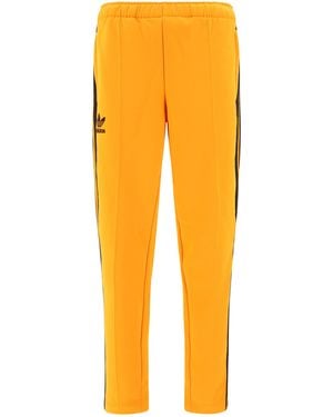 adidas Wb Track Pant - Orange