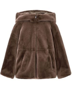 Emporio Armani Coats Dove - Brown