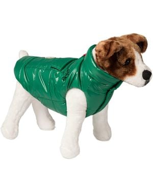 Moncler Dog Vest Pets Accessories Green