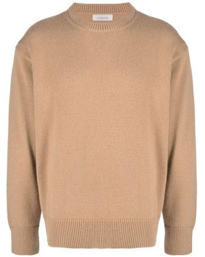 Laneus Maglioni Cotone-Uomo - Marrone