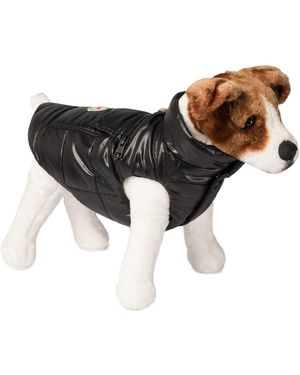 Moncler Dog Vest Pets Accessories Black