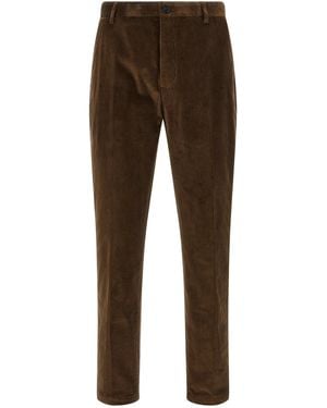 Department 5 Prince Pants - Brown