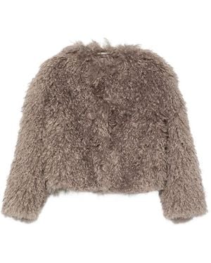 Tagliatore Teddy Cropped Jacket - Brown