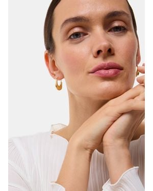 Whistles Oval Hoop Earring - Brown