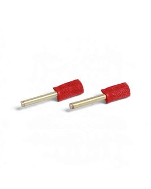 Svetlana Vukov Linear Drop Earrings - Red