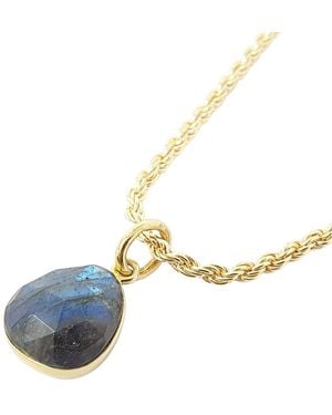 Harfi Statement Vermeil Plated Labradorite Gemstone Crystal Rope Necklace - Metallic