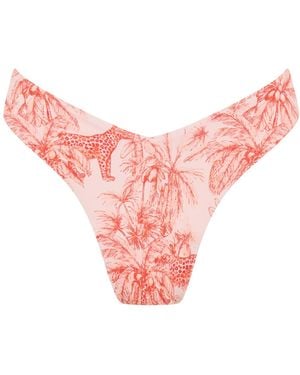 Soleil State Jungle Muse - Pink