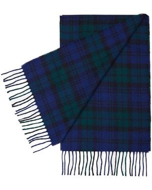 Hegarty Tartan Lambswool Scarf - Blue