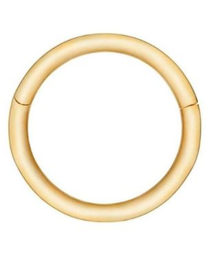 Zohreh Seamless Hoop Earring 9K - Metallic