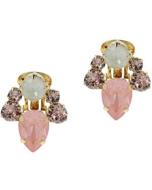 Otazu Beetle Clips Flamingo - Multicolour
