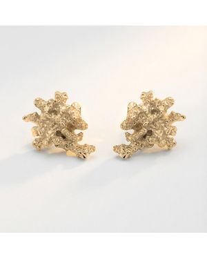 Dainty London Dainty Saltwater Coral Stud Earrings - Metallic