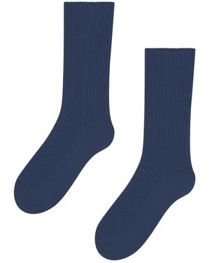 Loop Cashmere Cashmere Sock - Blue