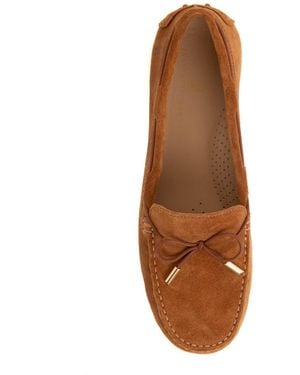Franchetti Bond Elodie Toasted Tan Suede - Brown