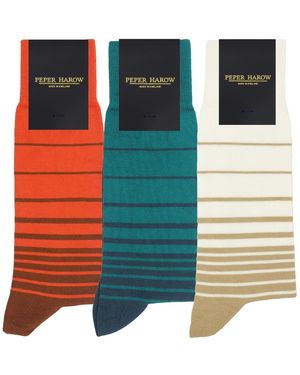 Peper Harow - Made in England Socks Bundle - Blue