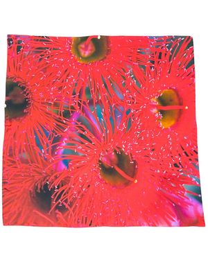 Lindsay Nicholas New York Melbourne Scarlet Burst Silk Scarf - Red