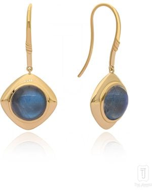 The Jewelz Oasis Muse Labradorite Earrings - Blue