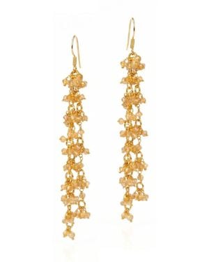 Jaredjamin Eloise Citrine Cluster Vine Dangle Earrings - Metallic