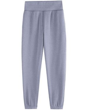 Supesu Cubby Jogger - Blue