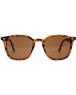 Hortons England Wayfarer Tortoiseshell Sunglasses - Brown
