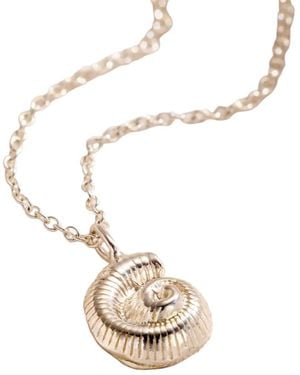 Posh Totty Designs Sterling Mini Nautilus Shell Necklace - Metallic