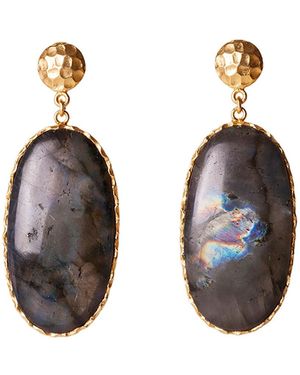 Christina Greene Large Drop Earrings - Brown