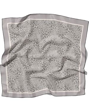J6R6 Neutrals Manhattan Large Square Butterfly Scarf - Grey