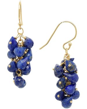 Lori Kaplan Design Lapis Cascading Earings - Blue