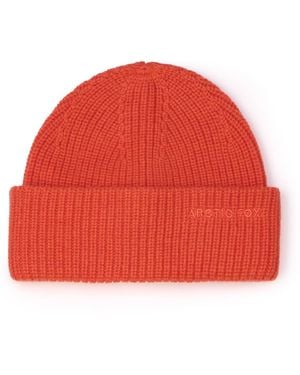 Arctic Fox & Co. Embroidered Merino Wool Beanie