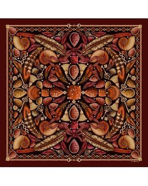 Emily Carter The Feather Baroque Scarf - Brown