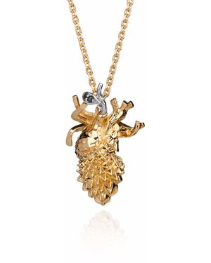 Kasun Forbidden Heart – - Metallic