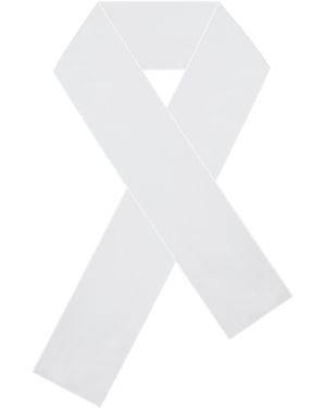 Miss Circle New York Jaycee Chiffon Scarf - White