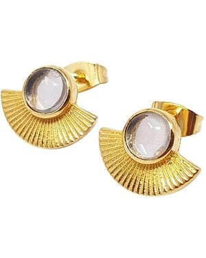 Sophelia Clear Crystal Plated Minimalist Fan Earrings - Metallic