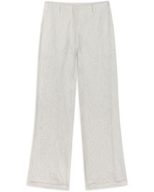 Nocturne Off - White